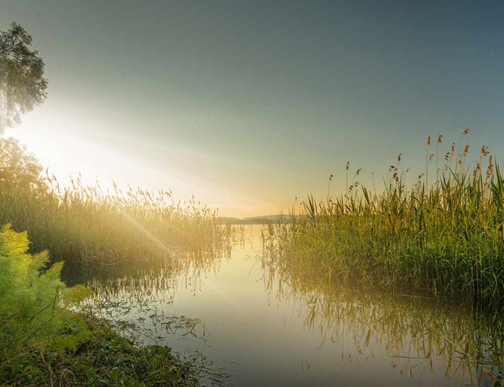 Natur und Umgebung